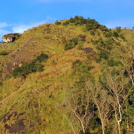 Munnar Green Home Anaviratty Exteriér fotografie
