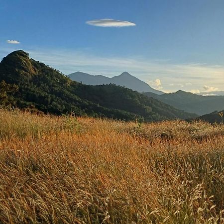 Munnar Green Home Anaviratty Exteriér fotografie