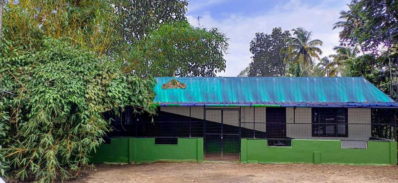 Munnar Green Home Anaviratty Exteriér fotografie