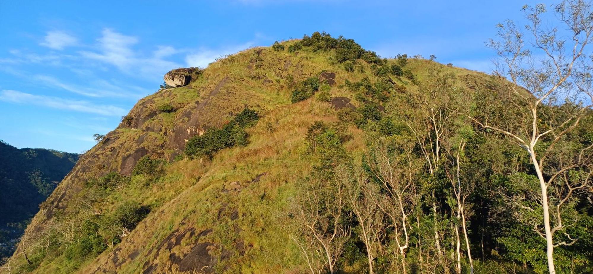 Munnar Green Home Anaviratty Exteriér fotografie