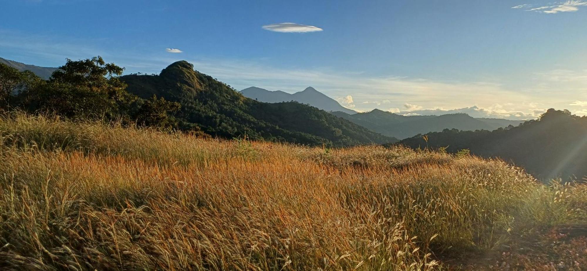 Munnar Green Home Anaviratty Exteriér fotografie