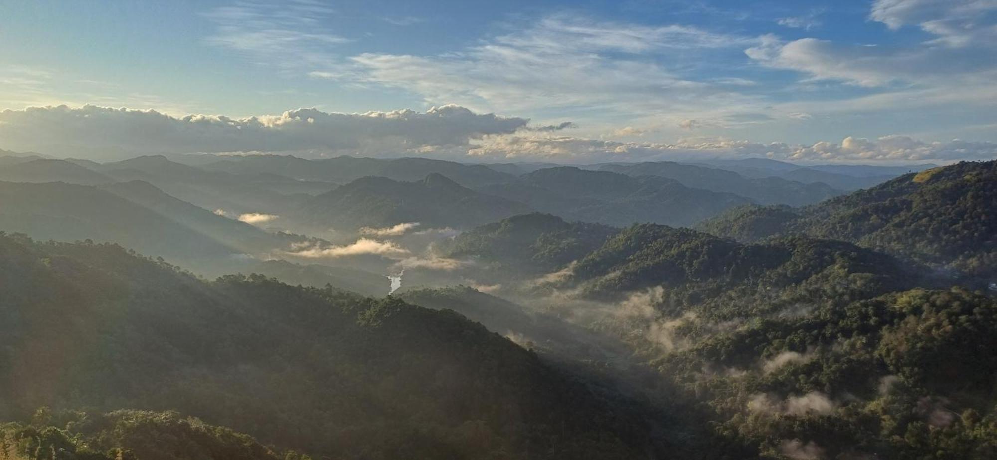 Munnar Green Home Anaviratty Exteriér fotografie